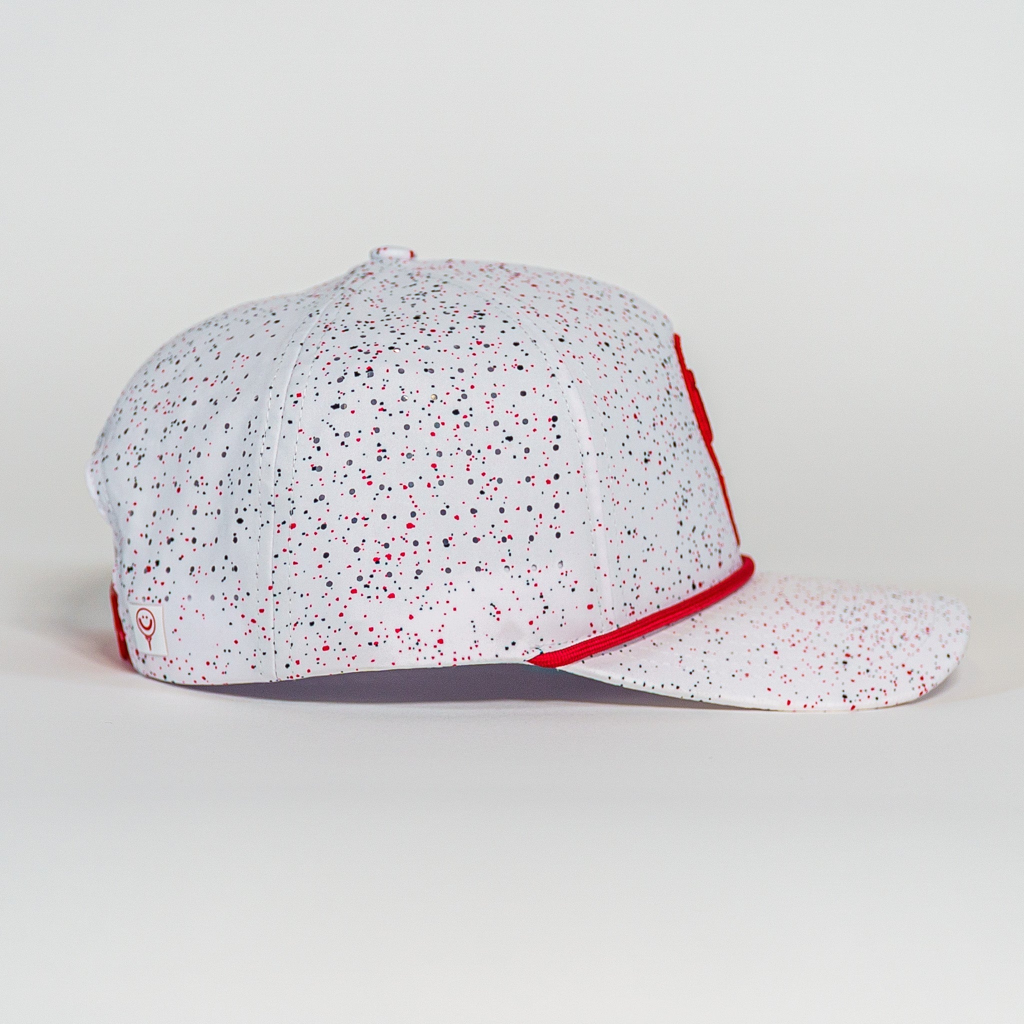 The Paint Splatter Freshie